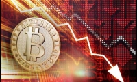 11月经济数据显示经济持续向好但仍待巩固，中证红利指数表现亮眼，近5日唯一上涨A股核心指数